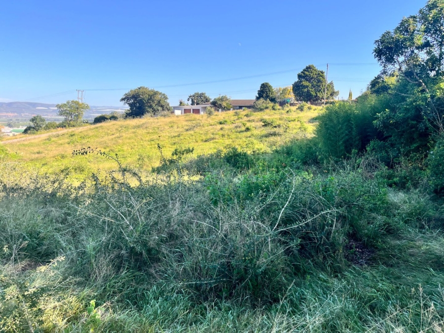 Commercial Property for Sale in Patensie Eastern Cape
